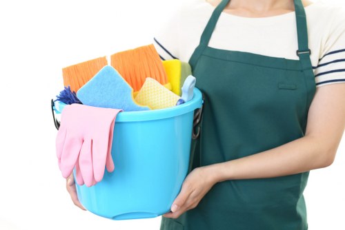 Professional cleaning company in Tufnellpark servicing a modern home