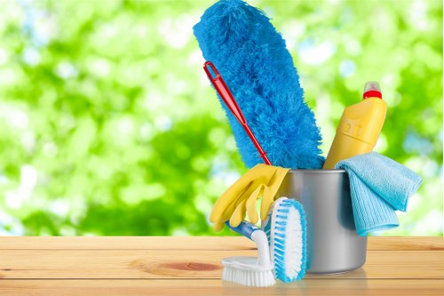 Cleaner in Tufnellpark preparing a safe and insured cleaning service