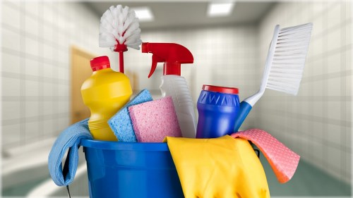 Professional sofa cleaning service for Tufnellpark homes