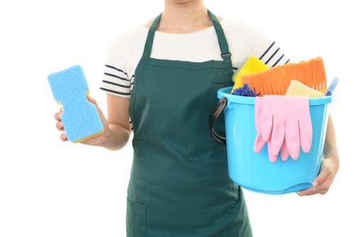 Professional cleaners working in a Tufnell Park home