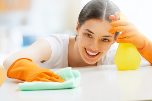 Deep carpet cleaning process in a local Tufnellpark property