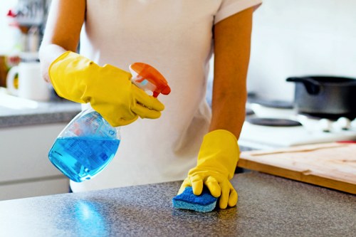 Eco-friendly home cleaning in Tufnellpark for a clean and comfortable home