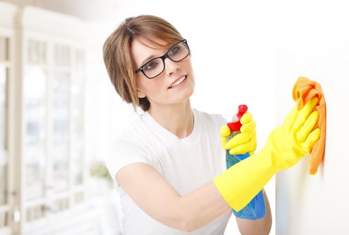 Dusting and vacuuming a Tufnell Park apartment