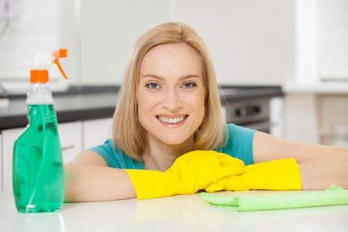 Kitchen surfaces cleaned during deep cleaning in Tufnellpark