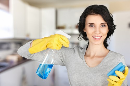 Residential window cleaning for a Tufnell Park property