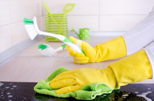Local domestic cleaner maintaining a Tufnellpark home interior