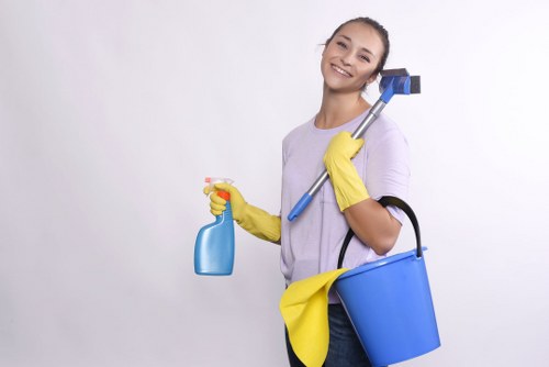 Deep cleaning services for properties in Tufnell Park
