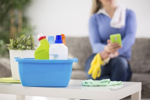 Carpet maintenance and stain removal service in Tufnellpark
