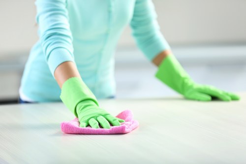 Customer reviewing cleaning appointment details