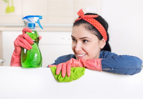 Commercial cleaning support in Tufnellpark office space
