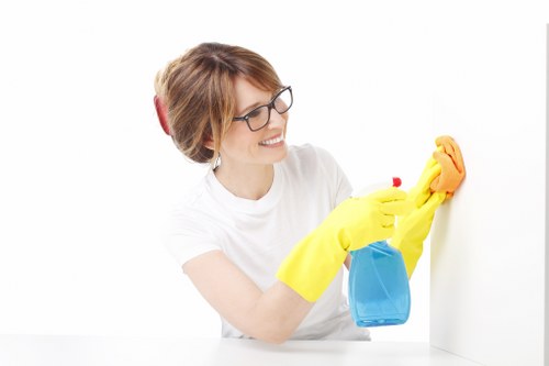 Domestic cleaning in Tufnellpark for busy households