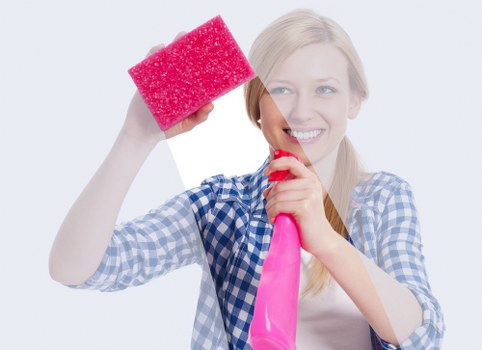 Local specialist working on a pet-stained rug and upholstery in Tufnellpark
