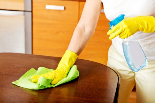 Signs a rug needs deep cleaning in Tufnellpark